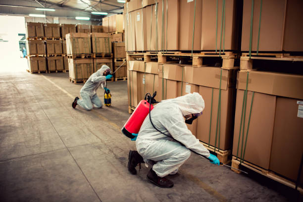 Best Emergency Pest Control  in River Heights, UT