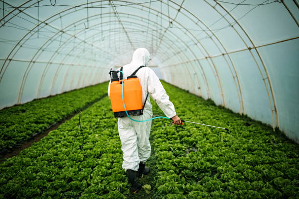 Best Affordable Pest Control Services  in River Heights, UT