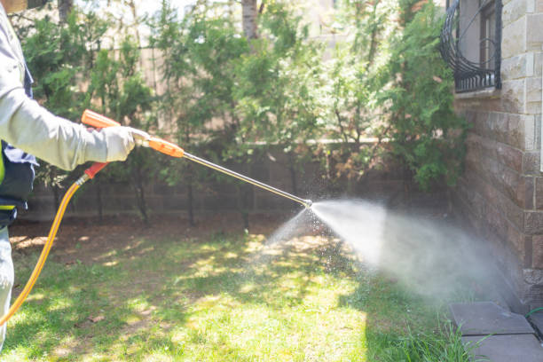 Best Flea Control Services  in River Heights, UT