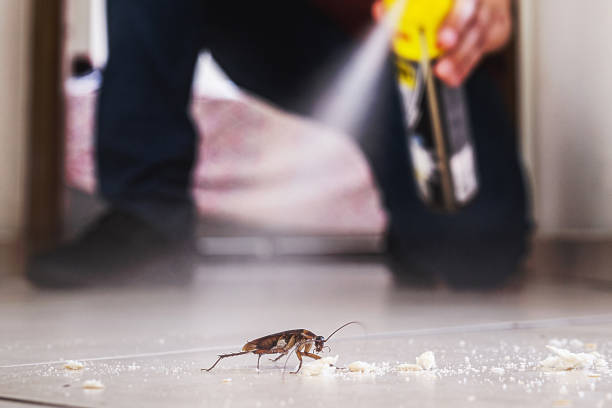Trusted River Heights, UT Pest Control Experts