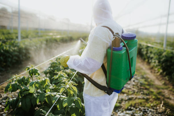 Wasp Removal Services in River Heights, UT